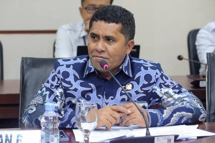 Langgar Kawasan Hutan, Hasby Yusuf Minta Pemerintah Cabut IUP Weda Bay Nikel